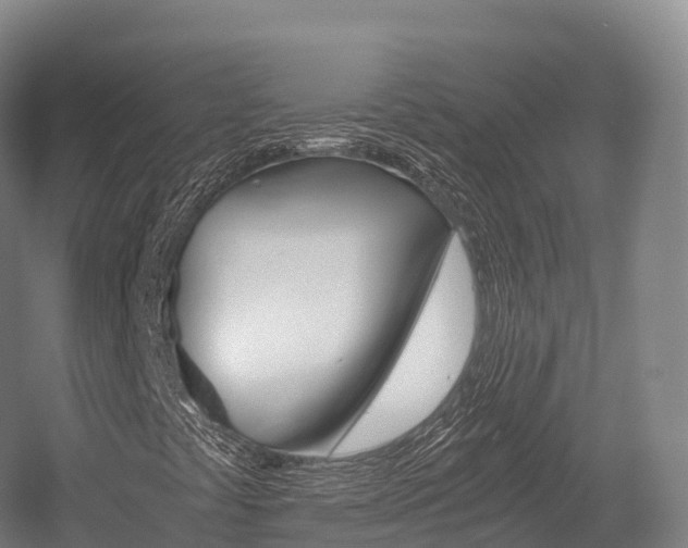 X0000055981441200508190717