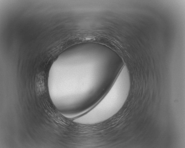 X0000055981442200508190717