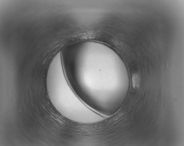X0000055981444200508190717