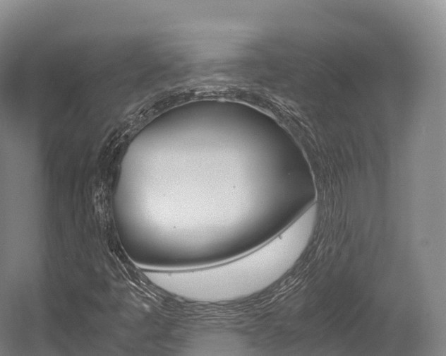 X0000055981445200508190717