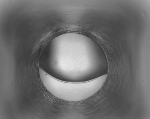 X0000055981447200508190717