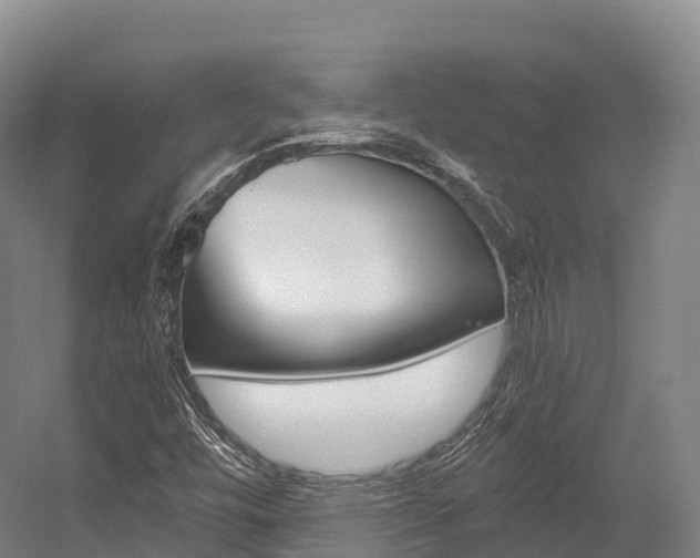 X0000055981448200508190717