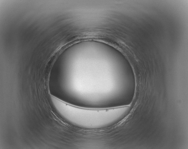 X0000055981449200508190717