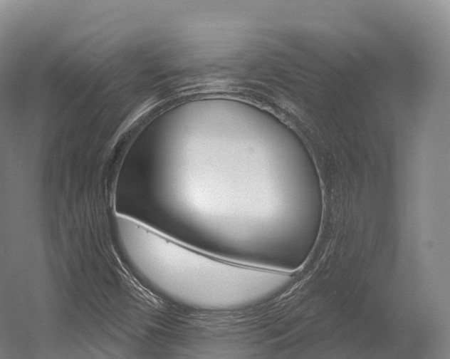 X0000055981450200508190717