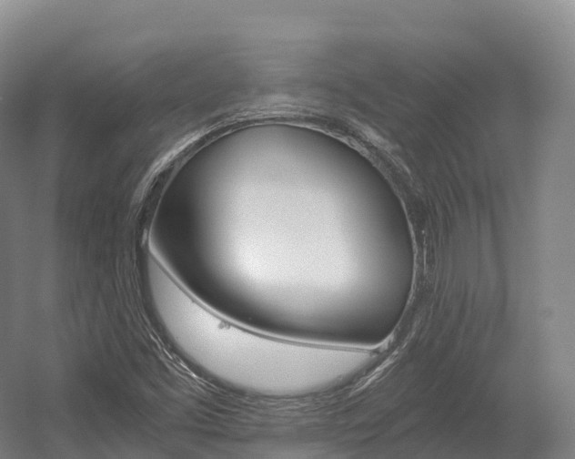 X0000055981453200508190717