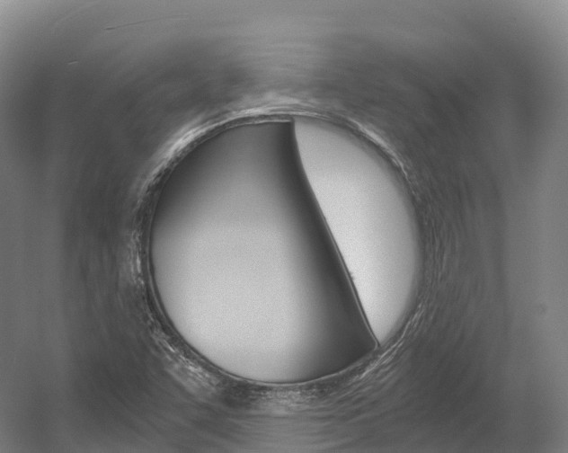 X0000055981455200508190717