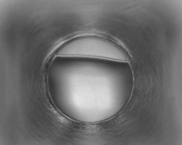 X0000055981456200508190717