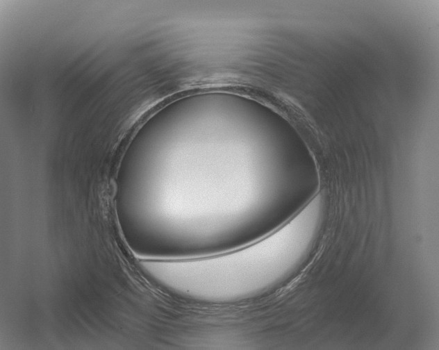 X0000055981457200508190717