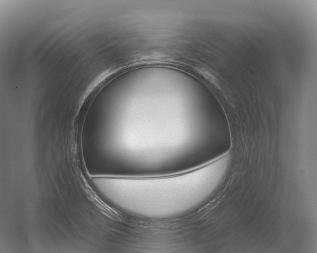 X0000055981458200508190717