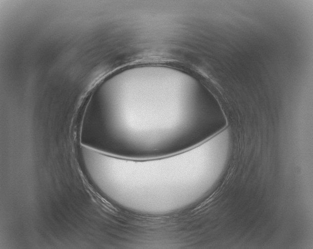 X0000055981459200508190717