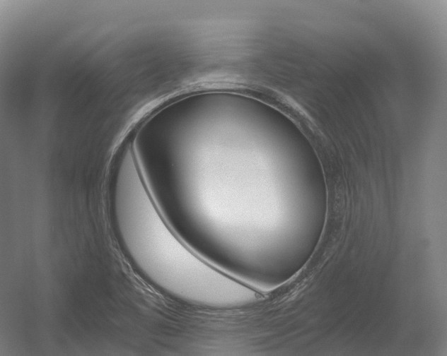 X0000055981461200508190717