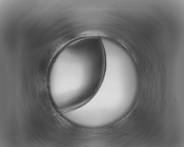 X0000055981465200508190716