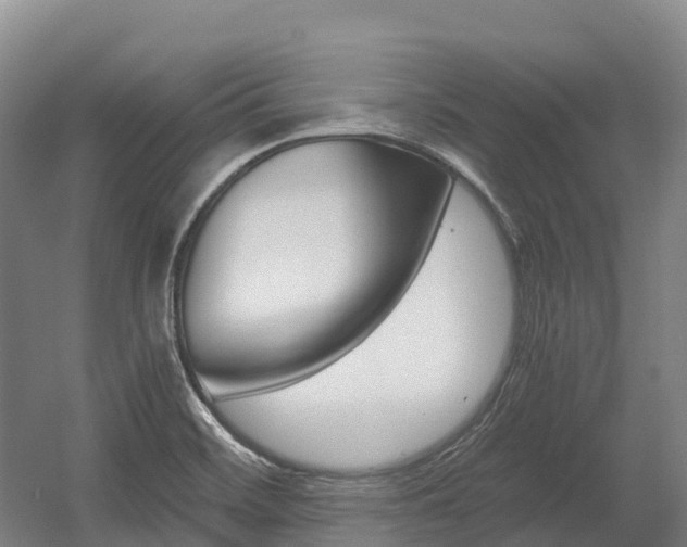X0000055981468200508190716