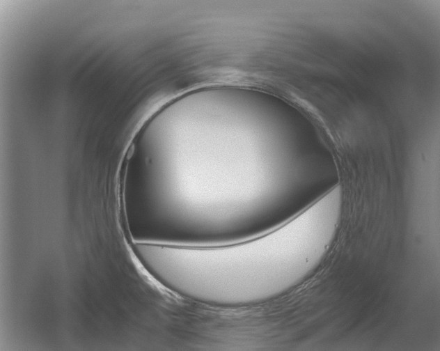 X0000055981479200508190716