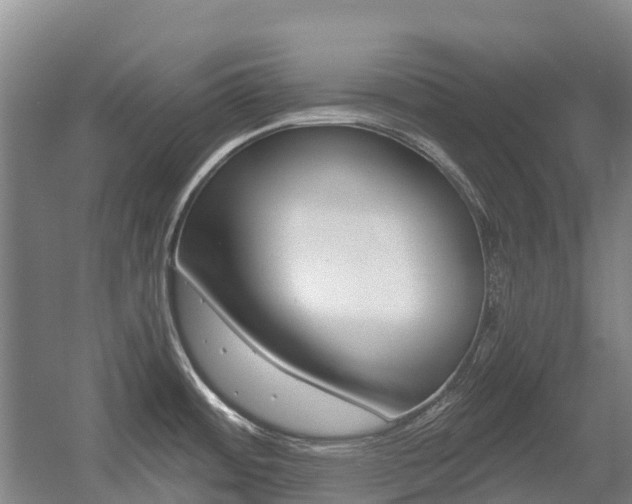 X0000055981484200508190716