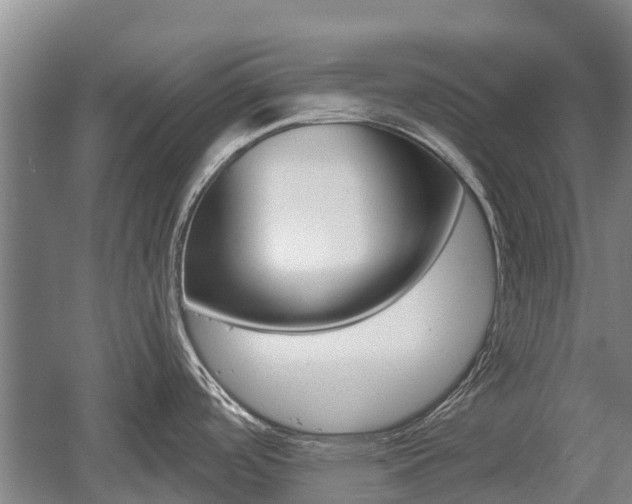 X0000055981488200508190716