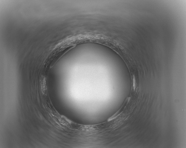 X0000055981492200508190715
