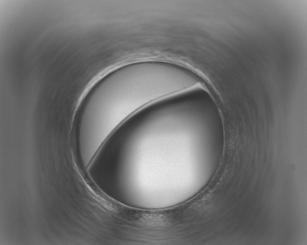 X0000055981509200508190716