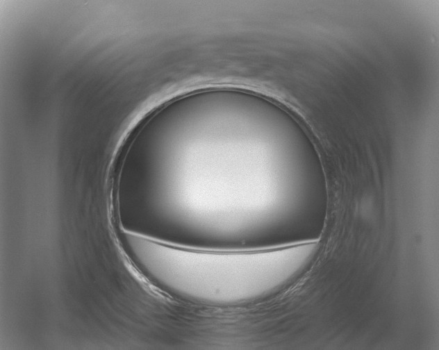 X0000055981511200508190716
