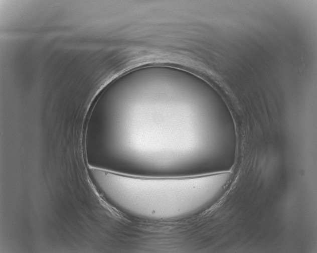 X0000055981513200508190716