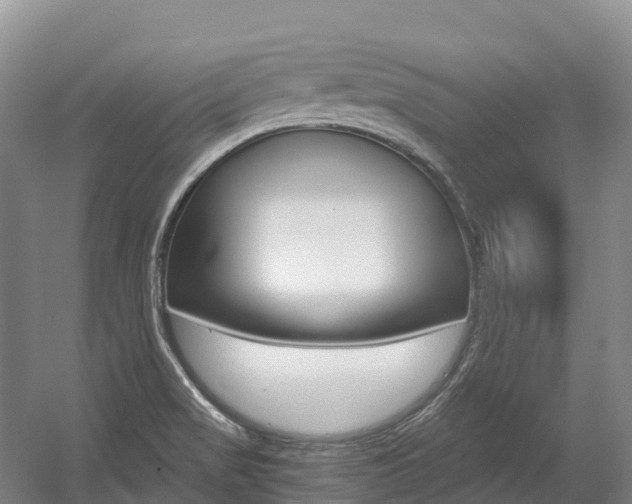 X0000055981517200508190716