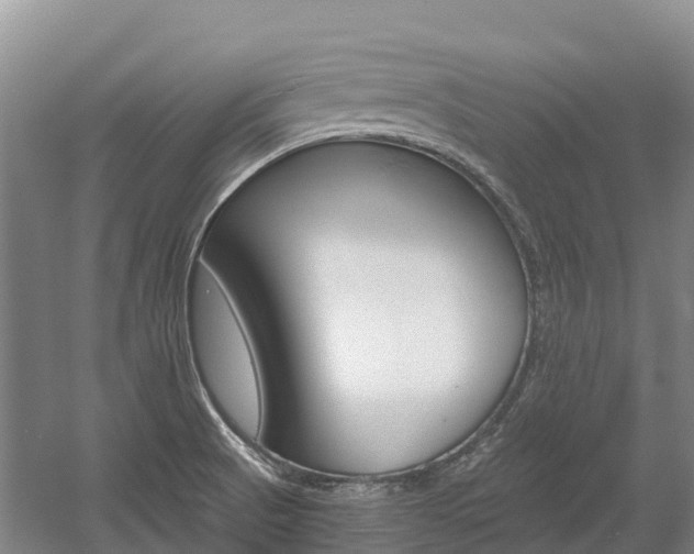 X0000055981521200508190716