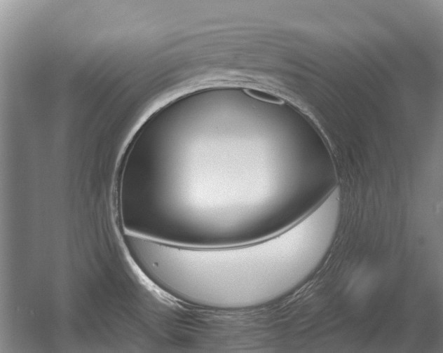 X0000055981531200508190716