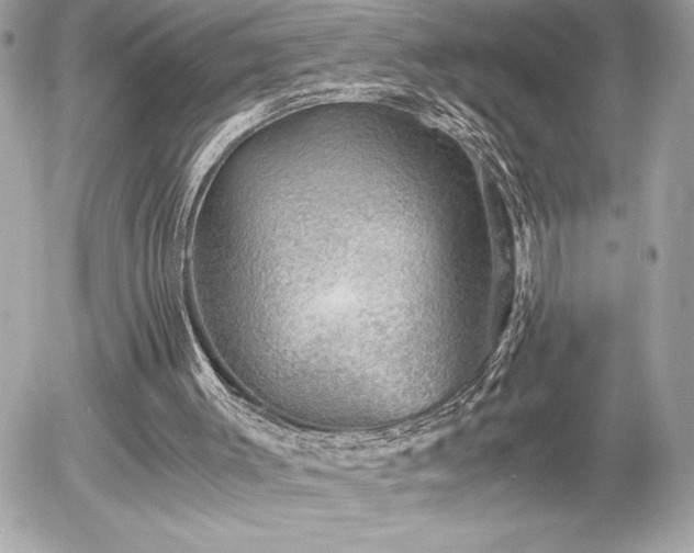 X0000055980003200508191244