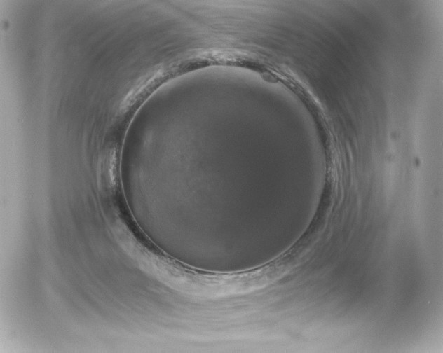 X0000055980023200508191244