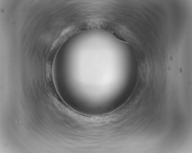 X0000055980038200508191244