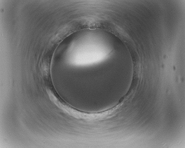 X0000055980039200508191244