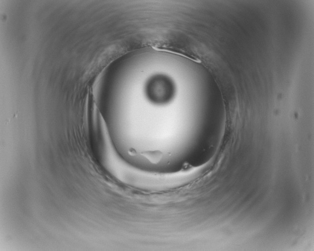 X0000055980041200508191244