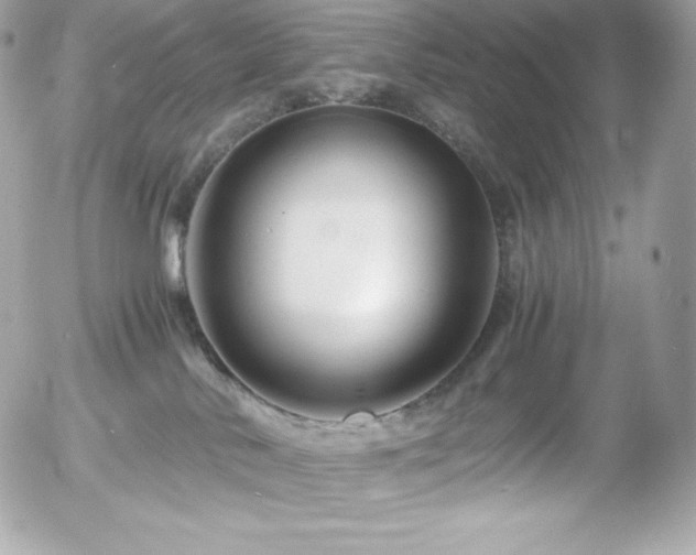 X0000055980042200508191244