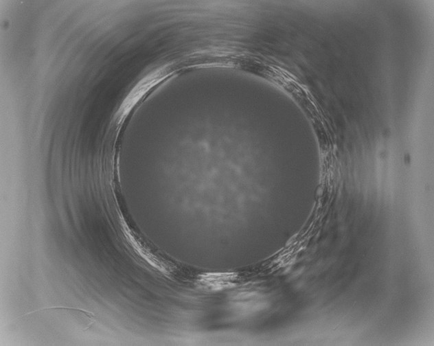 X0000055980051200508191243