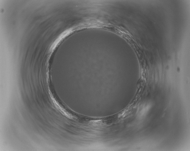 X0000055980054200508191243