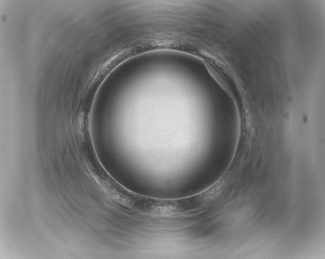 X0000055980066200508191243