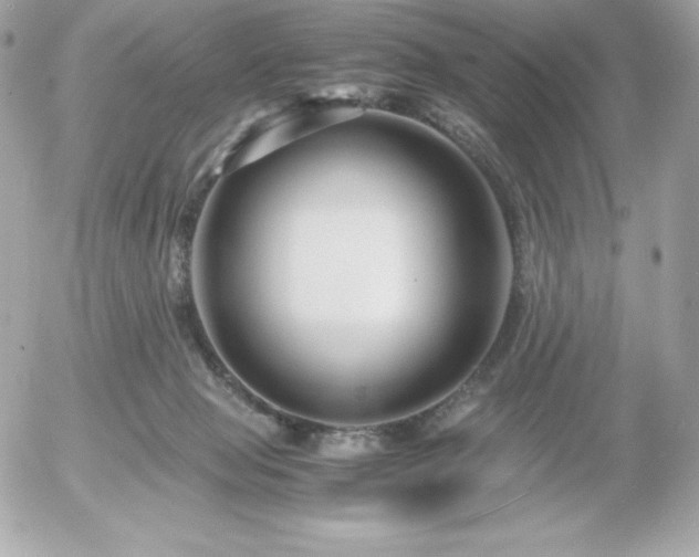 X0000055980077200508191243