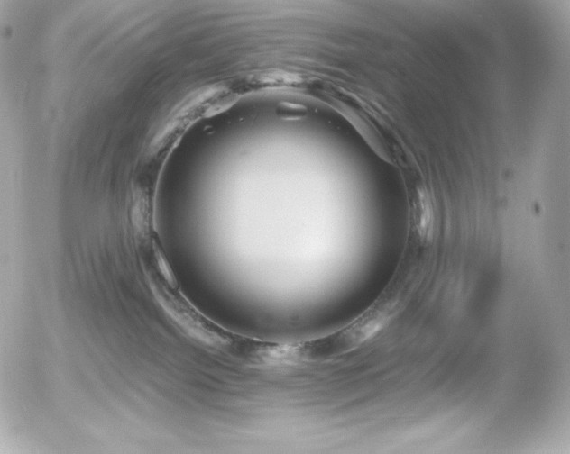 X0000055980092200508191244
