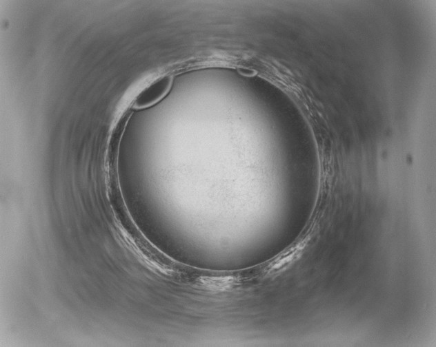 X0000055980102200508191243