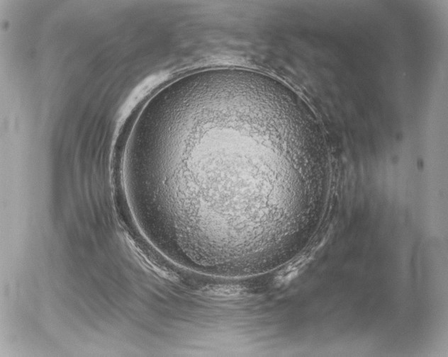 X0000055980104200508191243