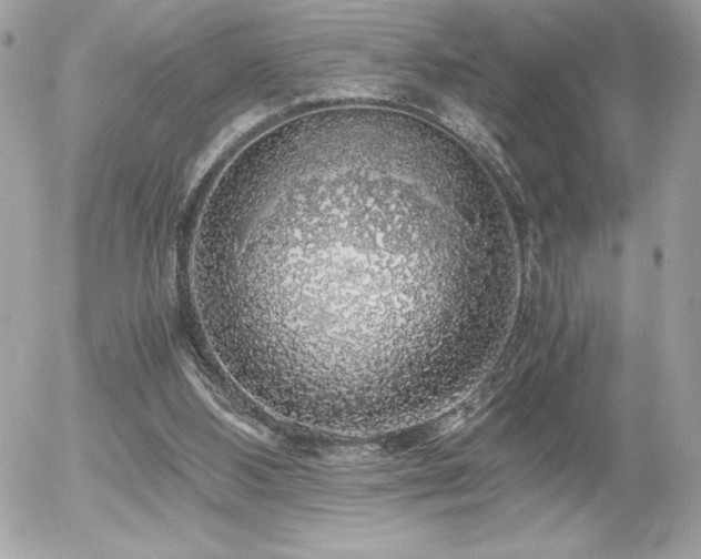 X0000055980108200508191243