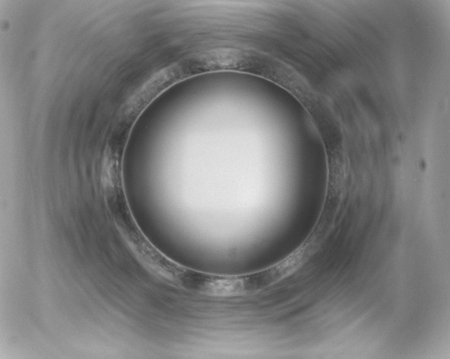 X0000055980126200508191242