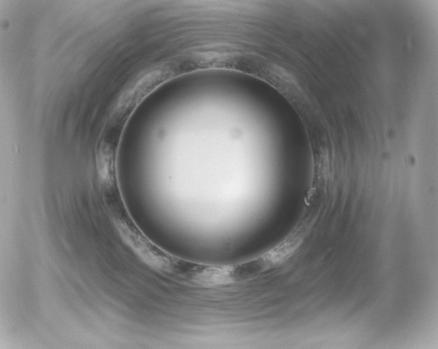 X0000055980138200508191242