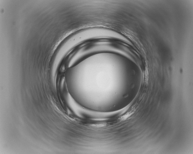 X0000055980156200508191241