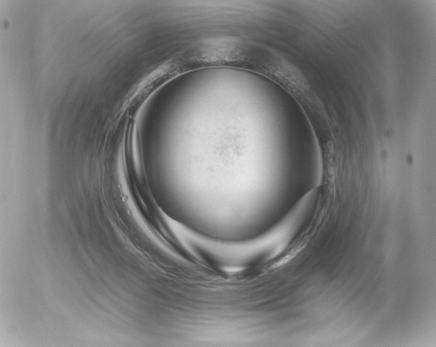 X0000055980164200508191242