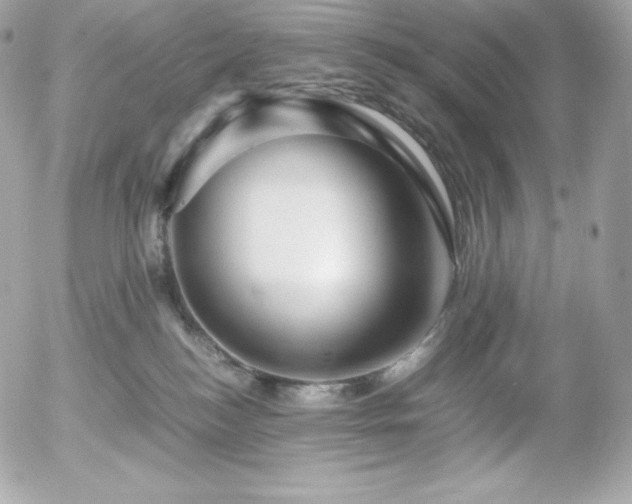 X0000055980184200508191242