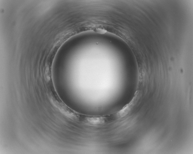 X0000055980187200508191242