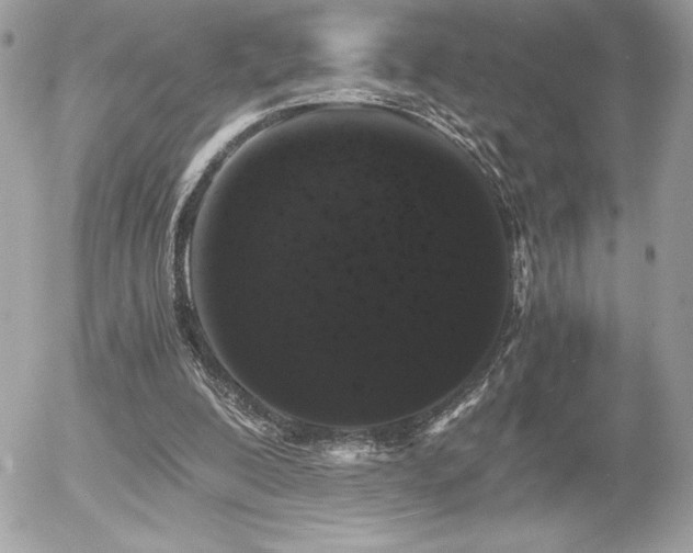 X0000055980200200508191241