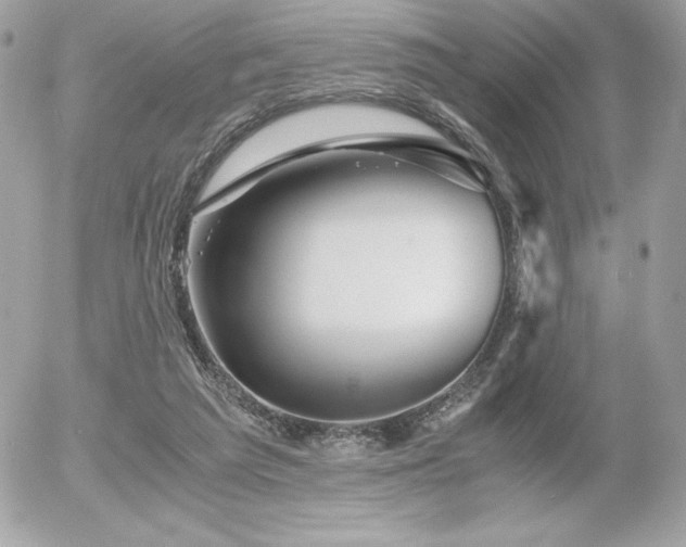 X0000055980209200508191241