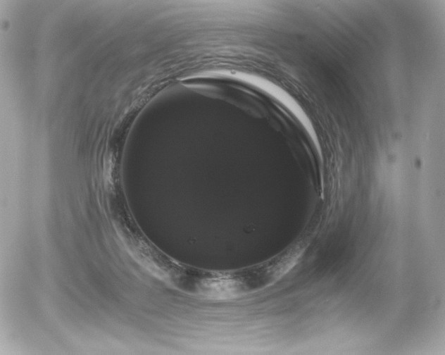 X0000055980219200508191241